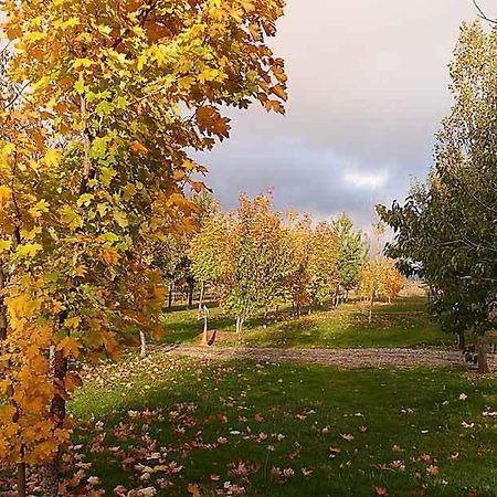 Camping Ain Jaca Eksteriør billede