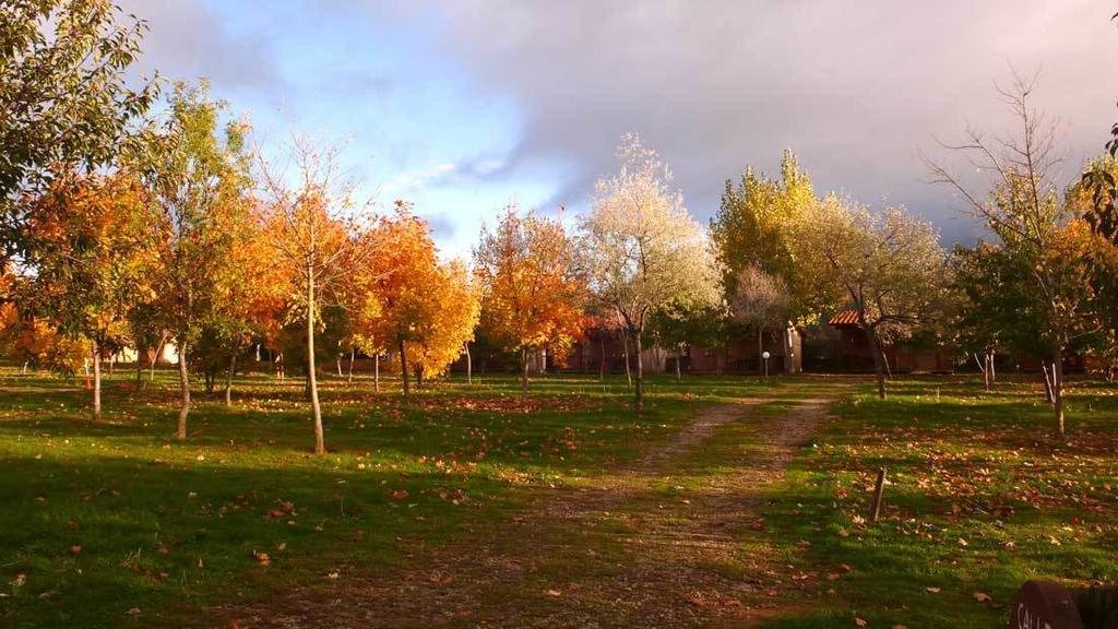 Camping Ain Jaca Eksteriør billede